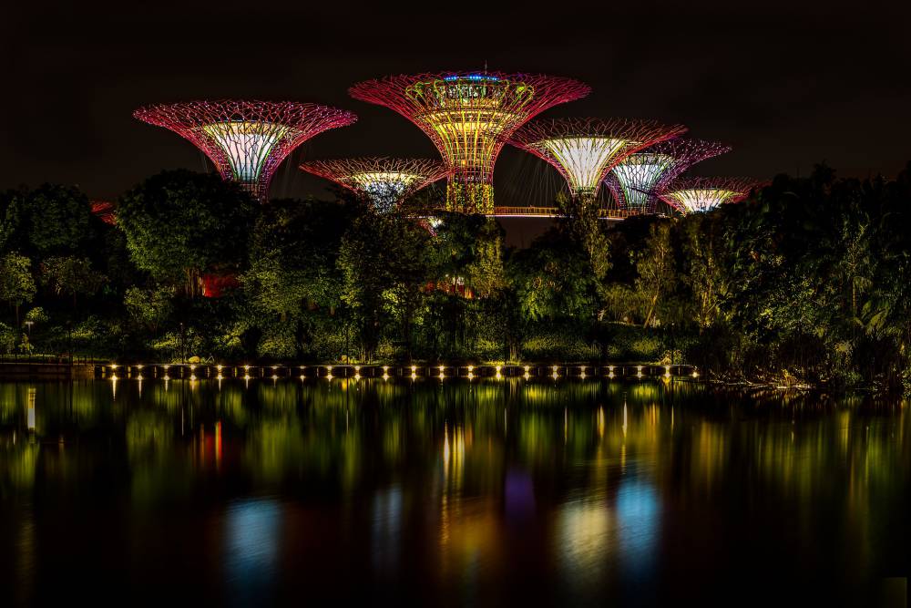 SUPERTREE GROVE in Gardens by the Bay